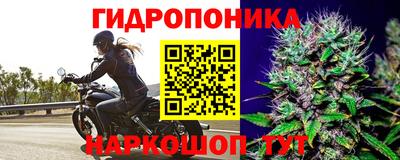 дживик Бийск