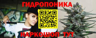 дживик Бийск