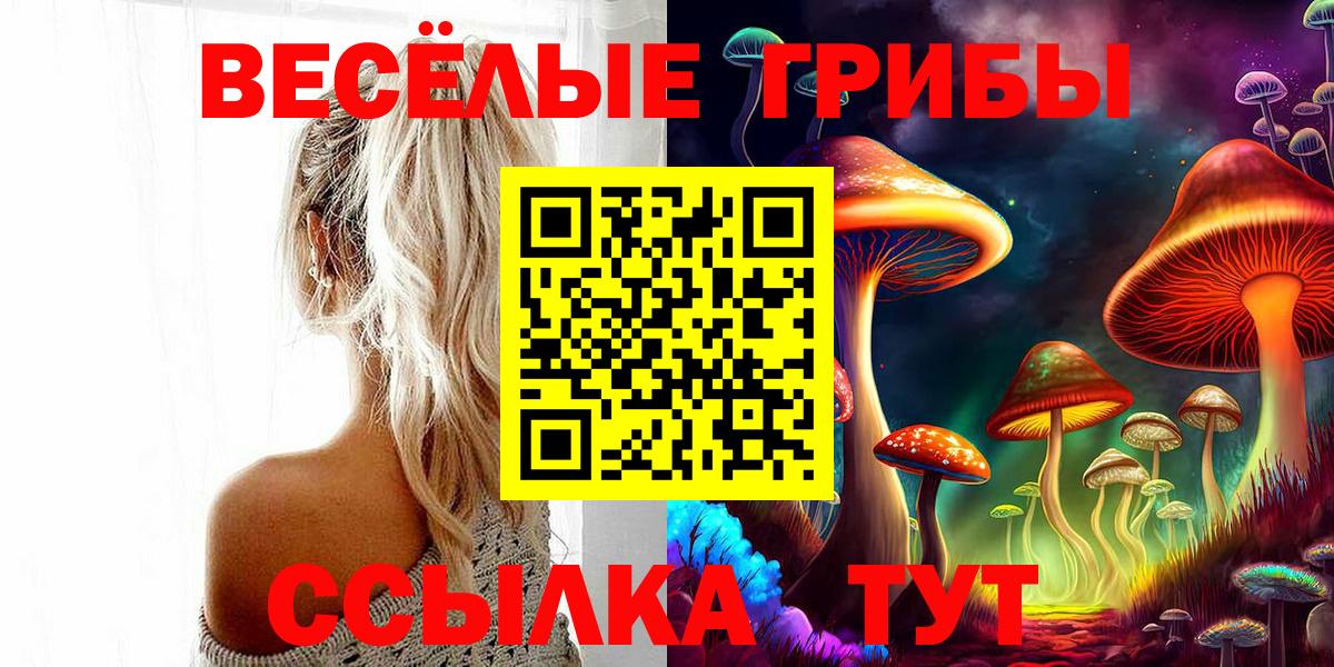 Псилоцибиновые грибы Cubensis  продажа наркотиков  Вход с VPN  Кисловодск  Псилоцибиновые грибы Cubensis 
