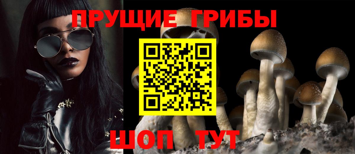 Галлюциногенные грибы ЛСД Кисловодск